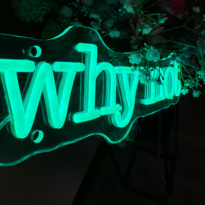 Neon Sign Why Not