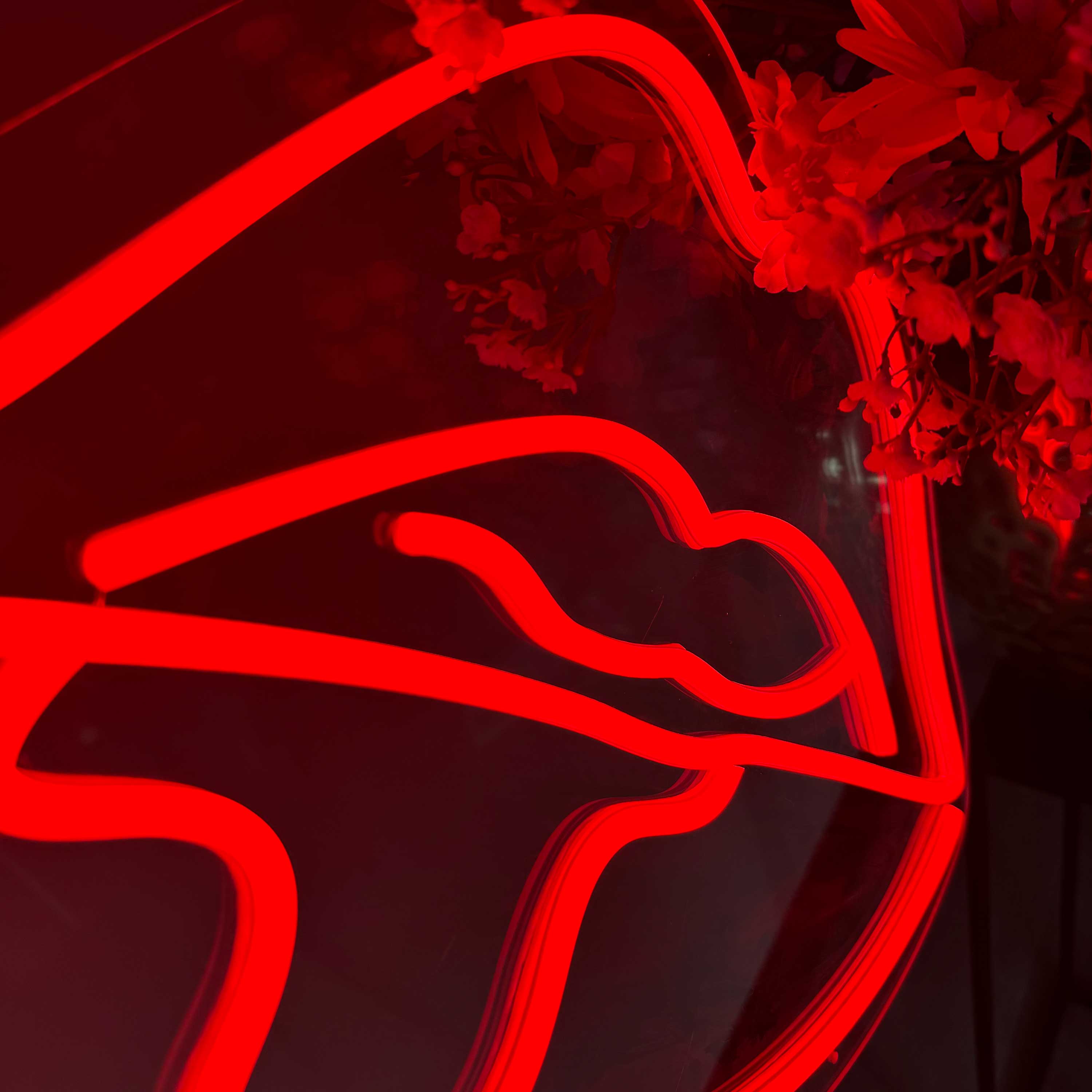 Neon Sign Caustic Lip