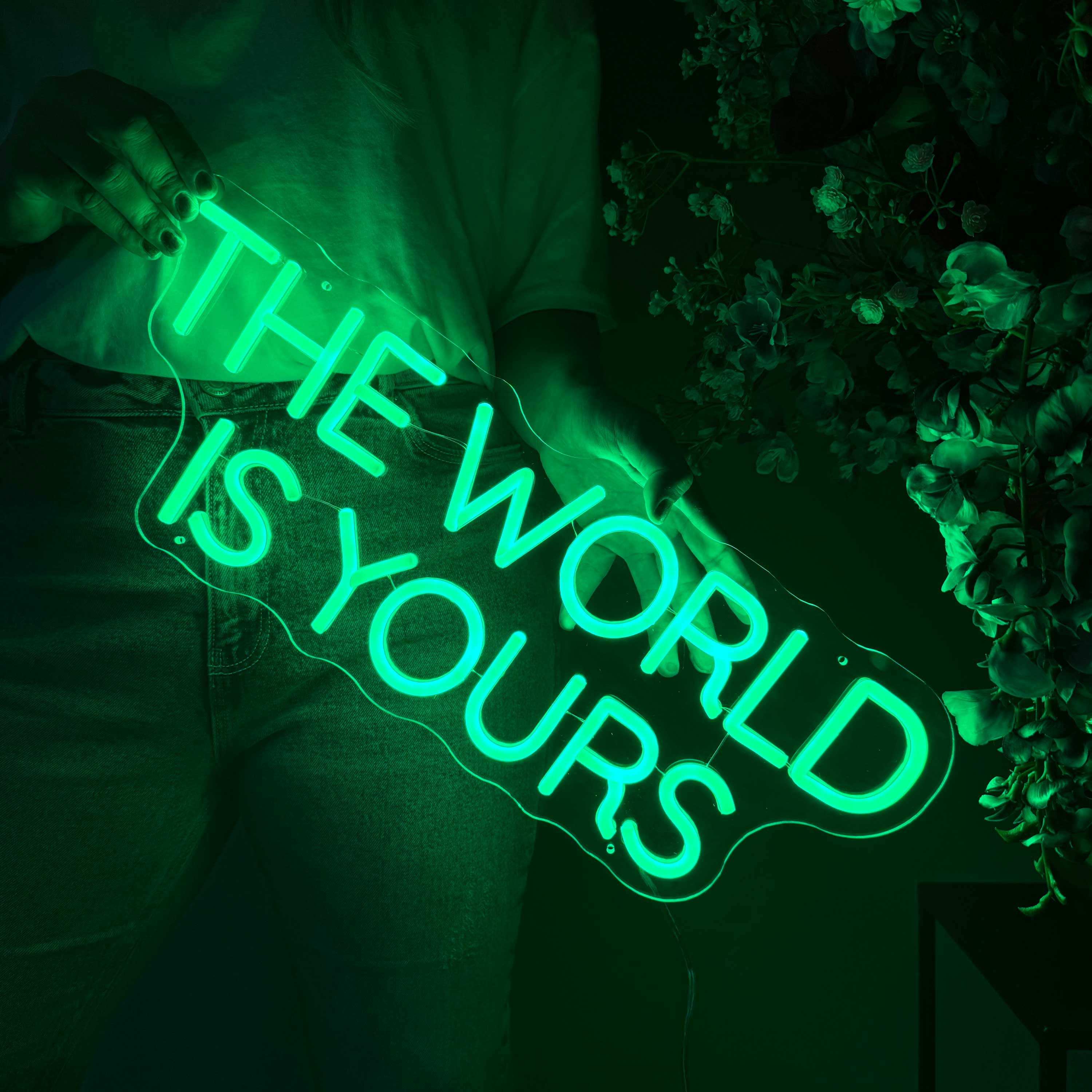 Neon Sign The World Is Yours