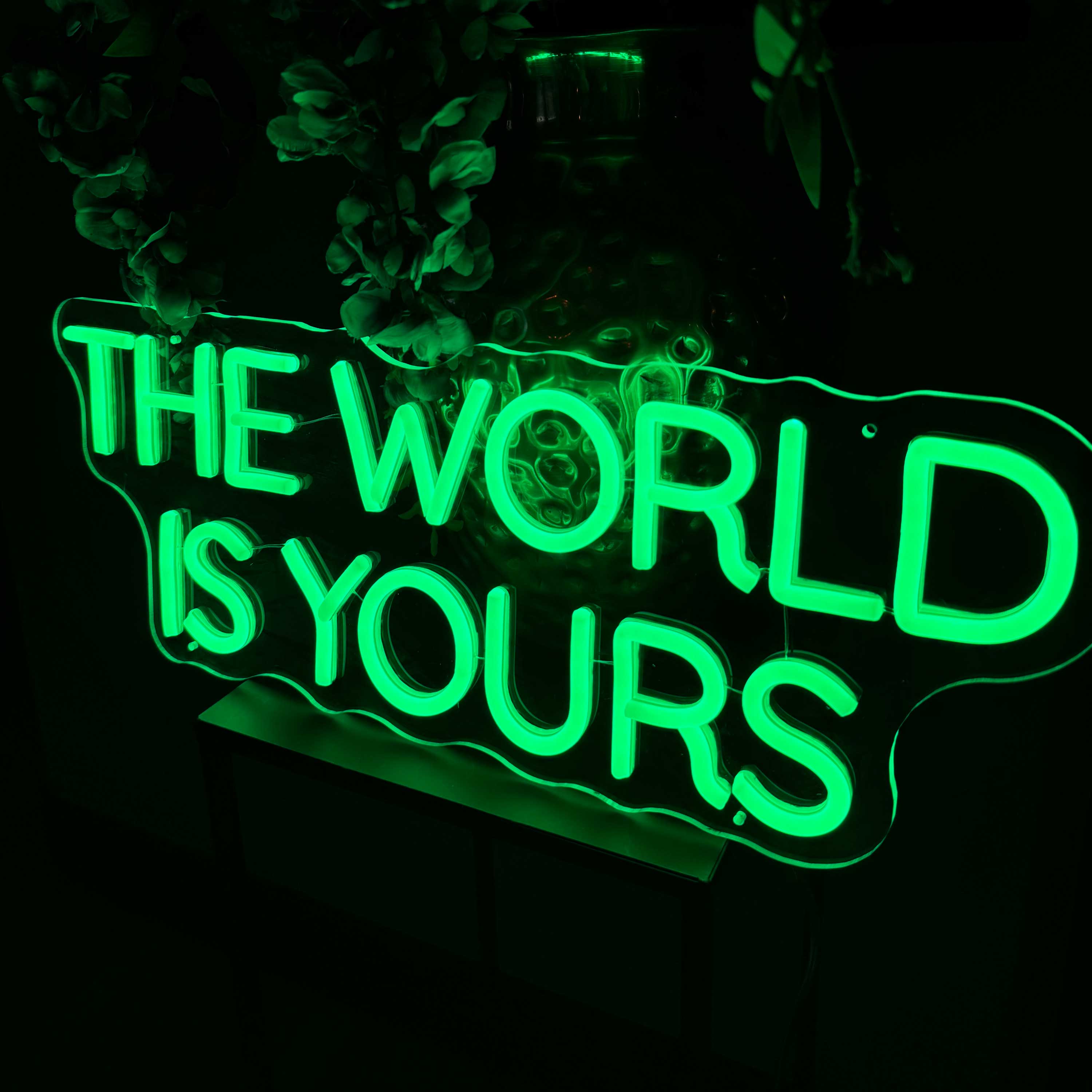 Neon Sign The World Is Yours